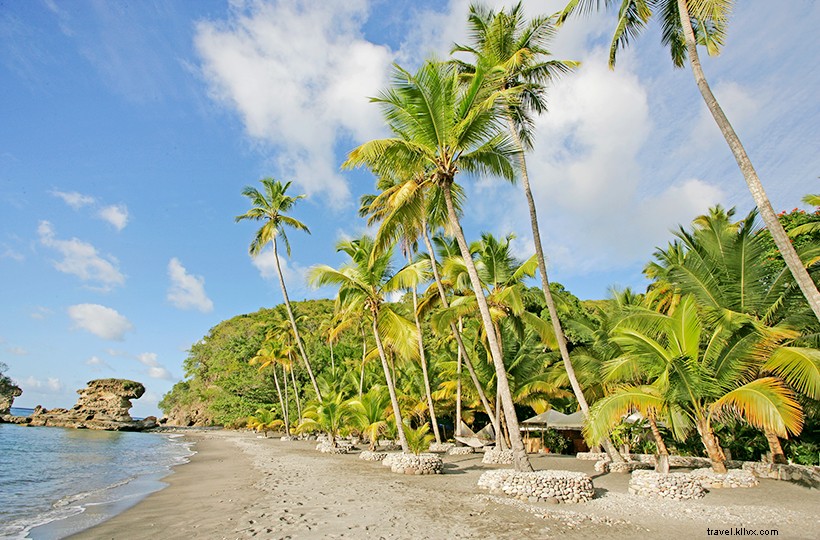 7 luoghi di nuoto nei Caraibi e in Messico che probabilmente non conoscevi mai 